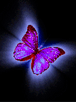 pic for butterfly  